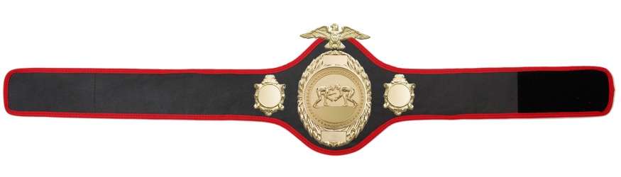 GRAPPLING CHAMPIONSHIP BELT - PRO288/G/GRAPG - 10 COLOURS